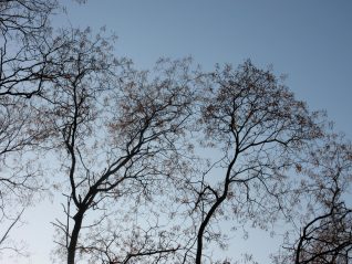 De weg kiest jou – rusten