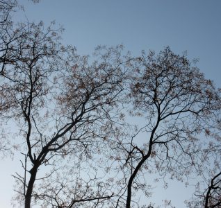 De weg kiest jou – rusten